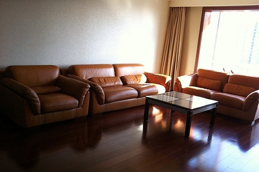 观湖国际 4bedroom 267sqm ¥28,000 BJ0000551